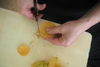 Crafts from leaves: new photo ideas, tips, instructions